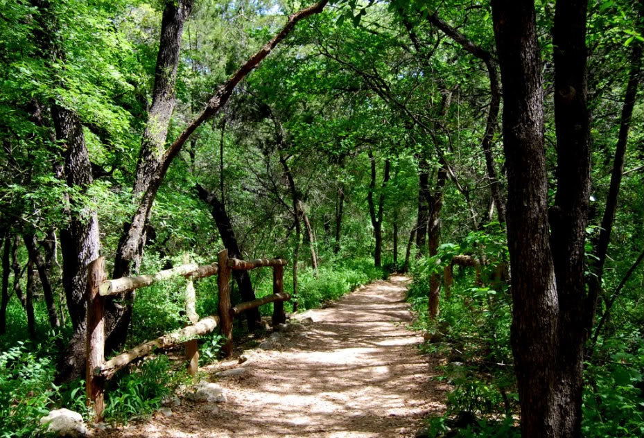 Looking down the path of the lush and tree-lined Violet Crown Trail