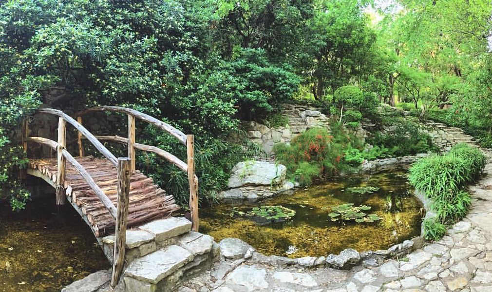 A wooden bridge and old stone path wind over a stream in the lush Zilker Botantical Garden