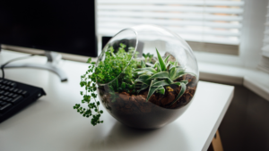 Small glass terrarium with green plants inside sitting on a desk.