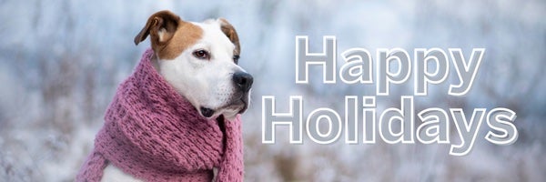 A pitbull mix dog that is white with fawn colored patches has a pink scarf wrapped around it's neck. Happy Holidays text is overlaid the image.