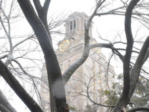 UT tower in the snowy winter with bare tree in foreground