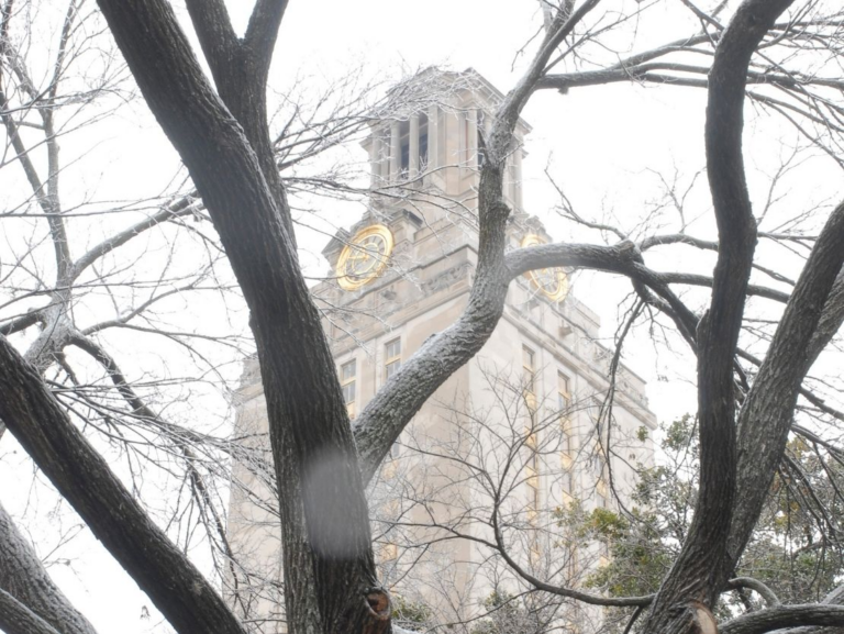 UT tower in the snowy winter with bare tree in foreground
