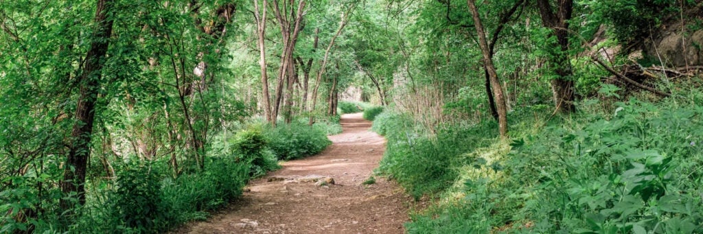 Looking down the lush tree-lined path of the Violet Crown Trail, Austin, TX