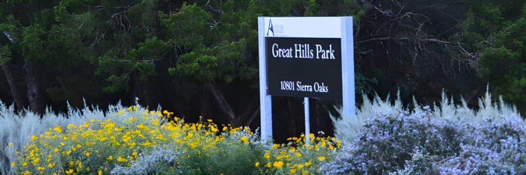 Looking at the sign for Great Hills Park tucked amongst tall and abundant yellow and purple wildflowers and native plants