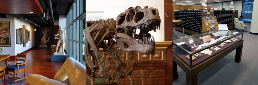 Displays from other museums and galleries on the UT Austin Campus
