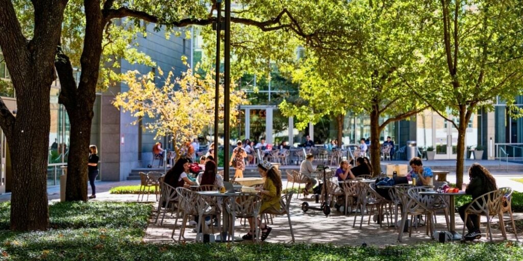 People sit at outdoor tables under leafy trees on a sunny day, creating a lively and relaxed atmosphere near a modern building with large windows.